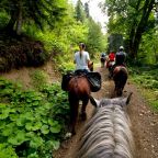 Конный прокат, Загородный отель Эллинги Виктория