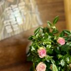 Трехместный (Домик 1-комнатный), База отдыха Кокос