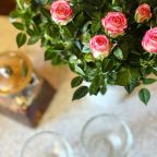 Пятиместный (Домик 1–комнатный с мини-кухней и террасой), База отдыха Кокос