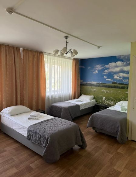 Фотография номера гостиницы Мир