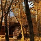 Коттедж (Королевский Типи "Принцесса Навахо"), Глэмпинг Vazuza Love