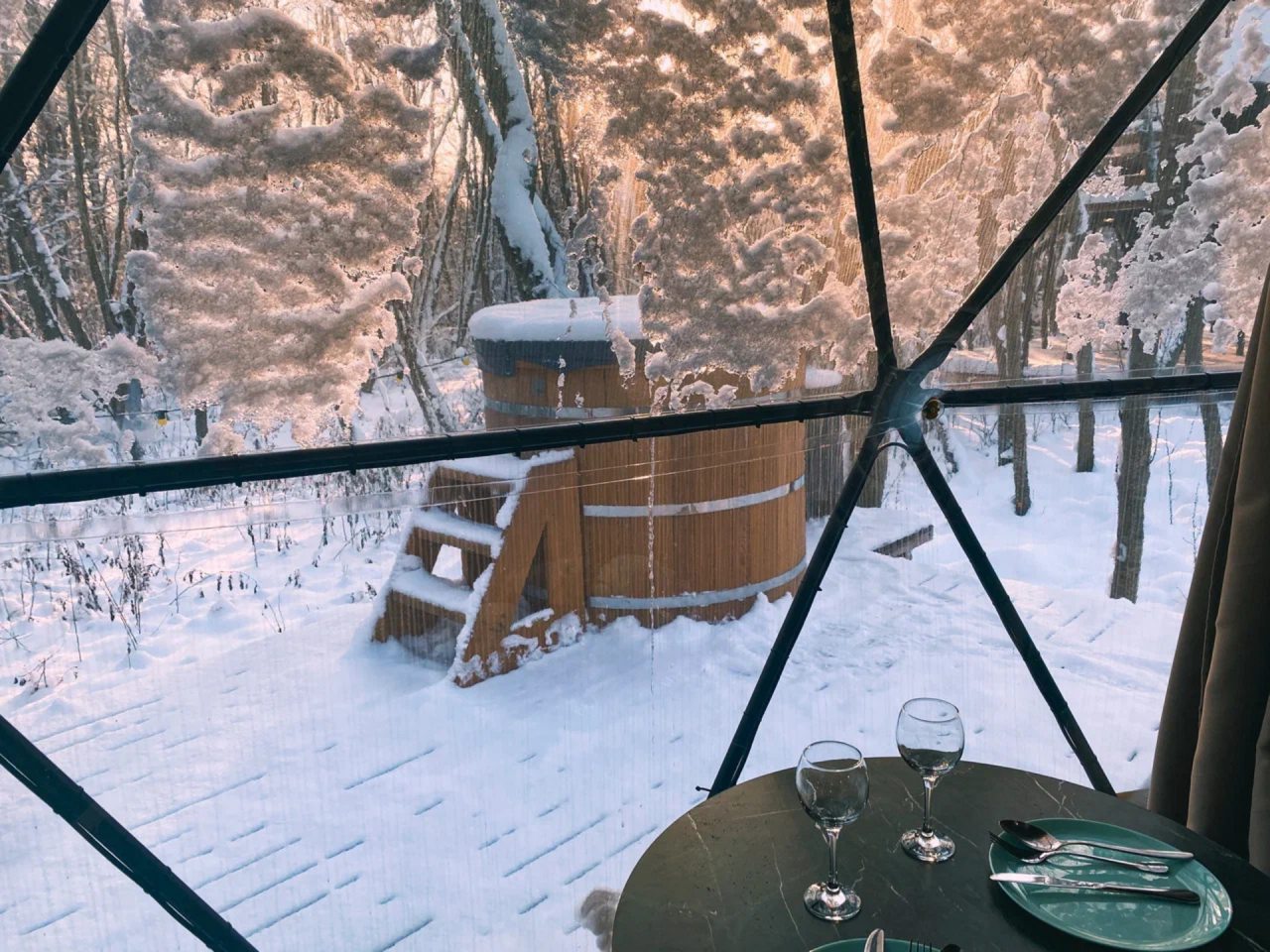 Коттедж (Геокупол Люкс 