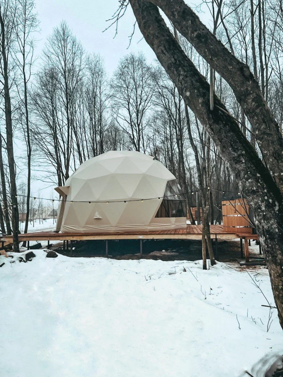 Коттедж (Геокупол Люкс 