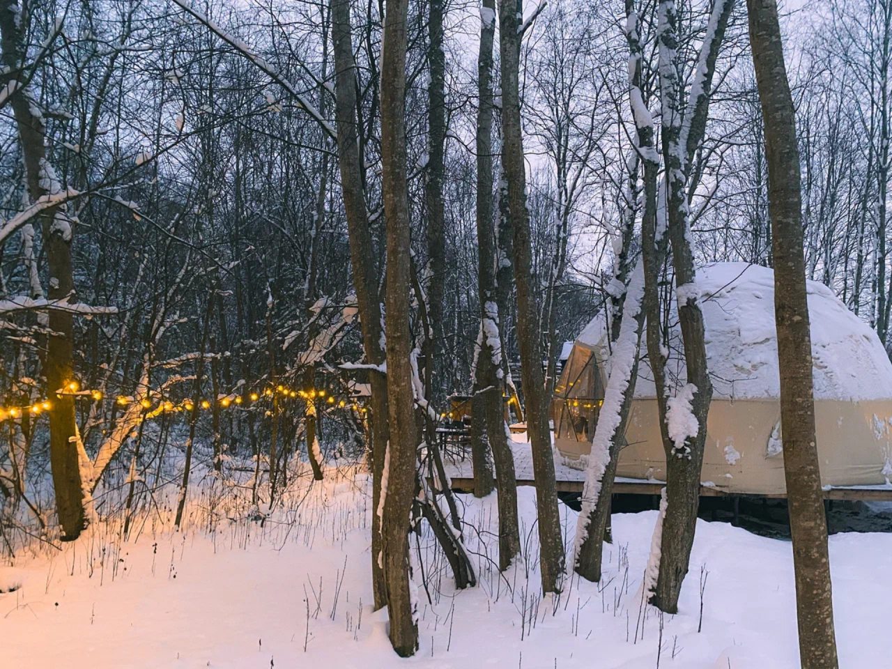 Коттедж (Геокупол Люкс 