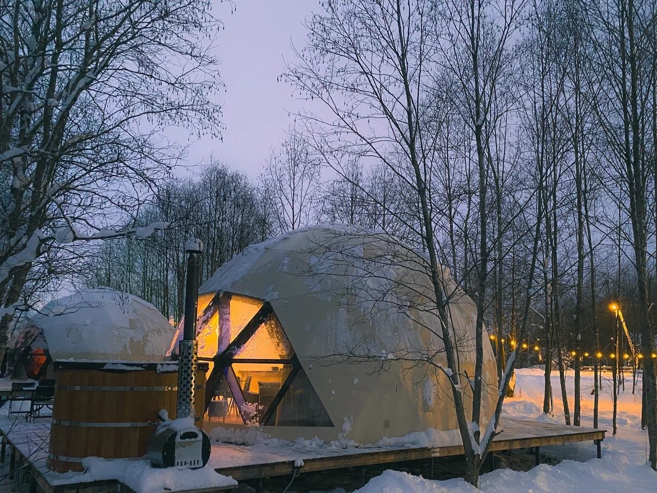 Коттедж (Геокупол Сьют 