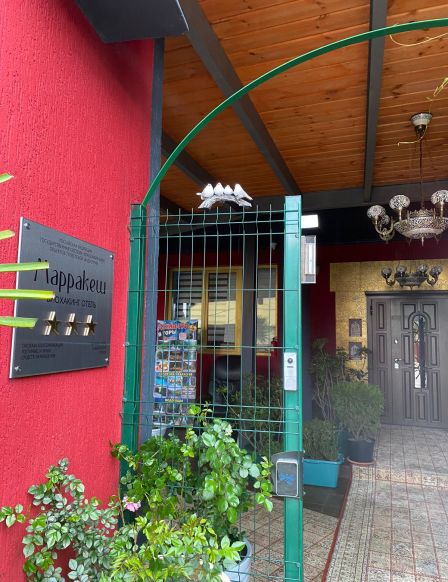 Фотография номера гостиницы Биохакинг Отель Марракеш