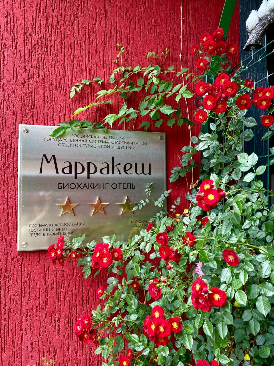 Двухместный (Двухместный номер 