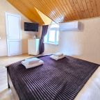 Двухместный (Номер стандарт мансарда (4 этаж)), Гостевой дом Багира