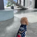 Pet-friendly отель