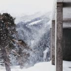 Природа вокруг MOON2