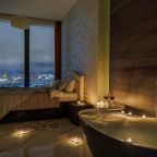 Апартаменты (Двухкомнатный люкс 47 этаж 63 м² ЖК «Neva Towers»), Апарт-отель InPremium