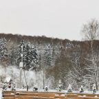 Коттедж (Барнхаус Зима с подогреваемой купелью), База отдыха Дачный клуб Якшино