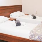 Двухместный (Стандарт TWN), Отель Wellhotel&Spa