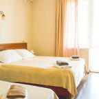 Трехместный (Стандарт 2 кровати), Отель Wellhotel&Spa