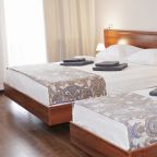 Трёхместный и более (Трехместный номер категории "Стандарт"), Отель Wellhotel&Spa