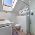 Двухместный (Номер-студия с мансардными окнами), Апарт-отель Karl House