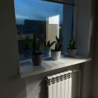 6ти местный номер