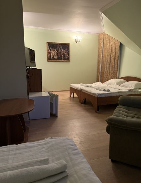 Фотография номера мини отеля Дуэт