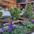 Своя ухоженная территория, Гостевой дом MODERN