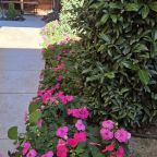 Своя ухоженная территория, Гостевой дом MODERN