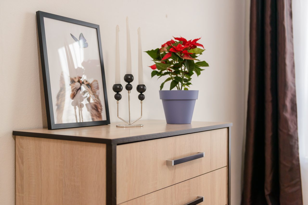 Апартаменты (Уютная квартира в новом жилом комплексе метро Братиславская), Апартаменты VV Apart