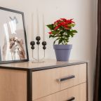 Апартаменты (Уютная квартира в новом жилом комплексе метро Братиславская), Апартаменты VV Apart