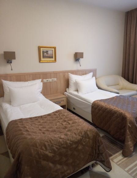 Фотография номера гостиницы Восток