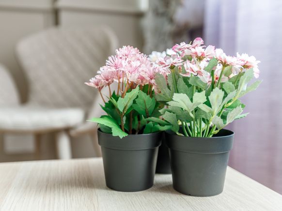 Фотография номера хостела История