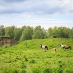 Конный прокат, Гостиничный комплекс Нур