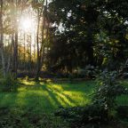 Своя ухоженная территория, База отдыха Серебряный век