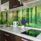 Апартаменты (HomeHotel Бурнаковская 51), Апартаменты HomeHotel на Бурнаковской