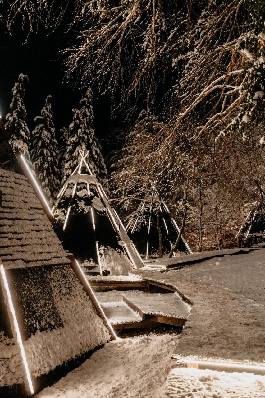 Двухместный (Нео-типи), Загородный отель Pine River Красная Поляна