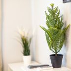 Апартаменты (RentPlaza 5 просека 133 п1), Апартаменты Апарт студия RentPlaza