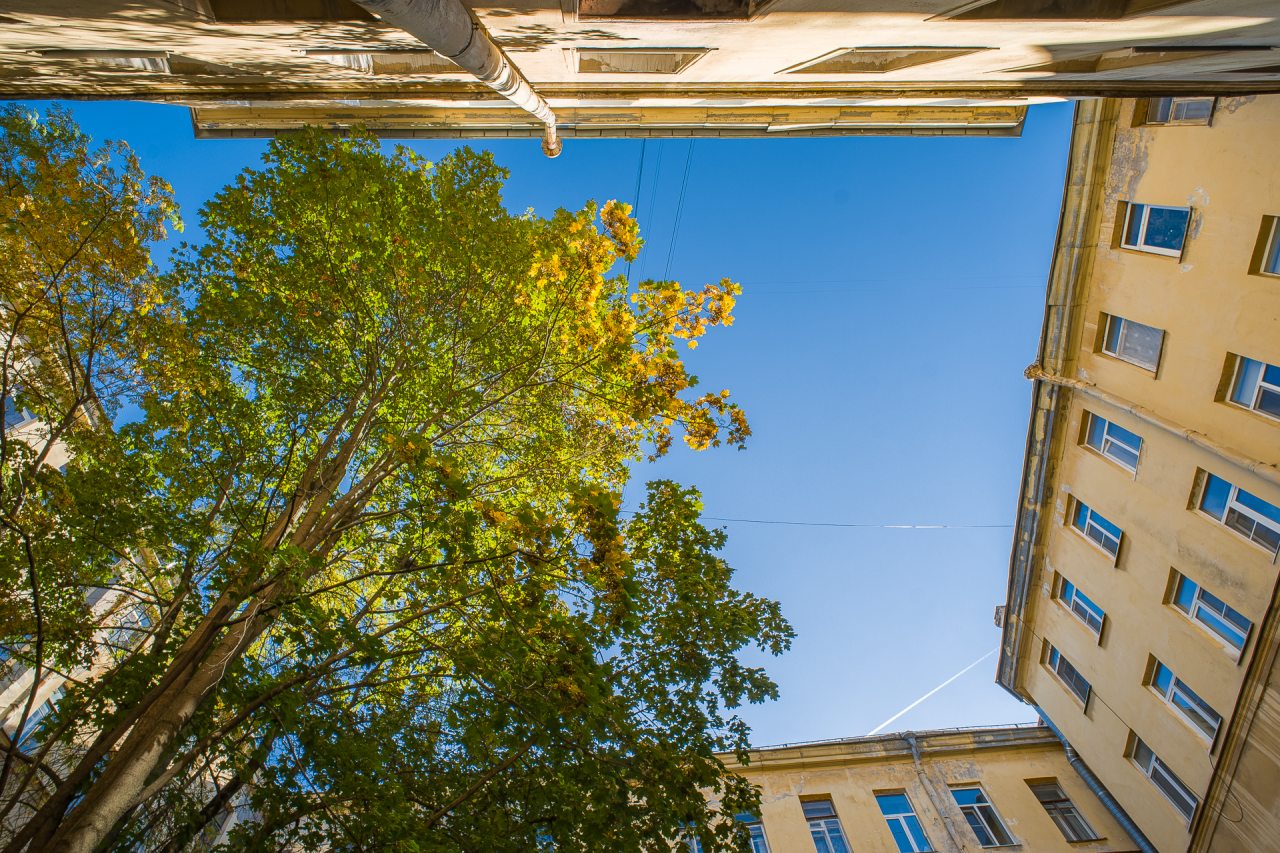 Семейный (Трехместный номер. 1 двуспальная и 1 односпальная кровати), Гостевой дом Лидваль