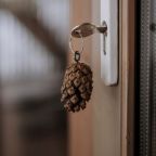 Дом (Барнхаус #2 Малиновка), Эко-отель Панорама Парк Междуречье