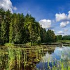 Дом (Барнхаус #6 Королек), Эко-отель Панорама Парк Междуречье