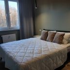 Полулюкс (С великолепным видом на лес, удобно с М4, с дизайнерским ремонтом), Апартаменты Серебряный Век