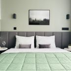 Апартаменты (O1665), Апартаменты Happy Home