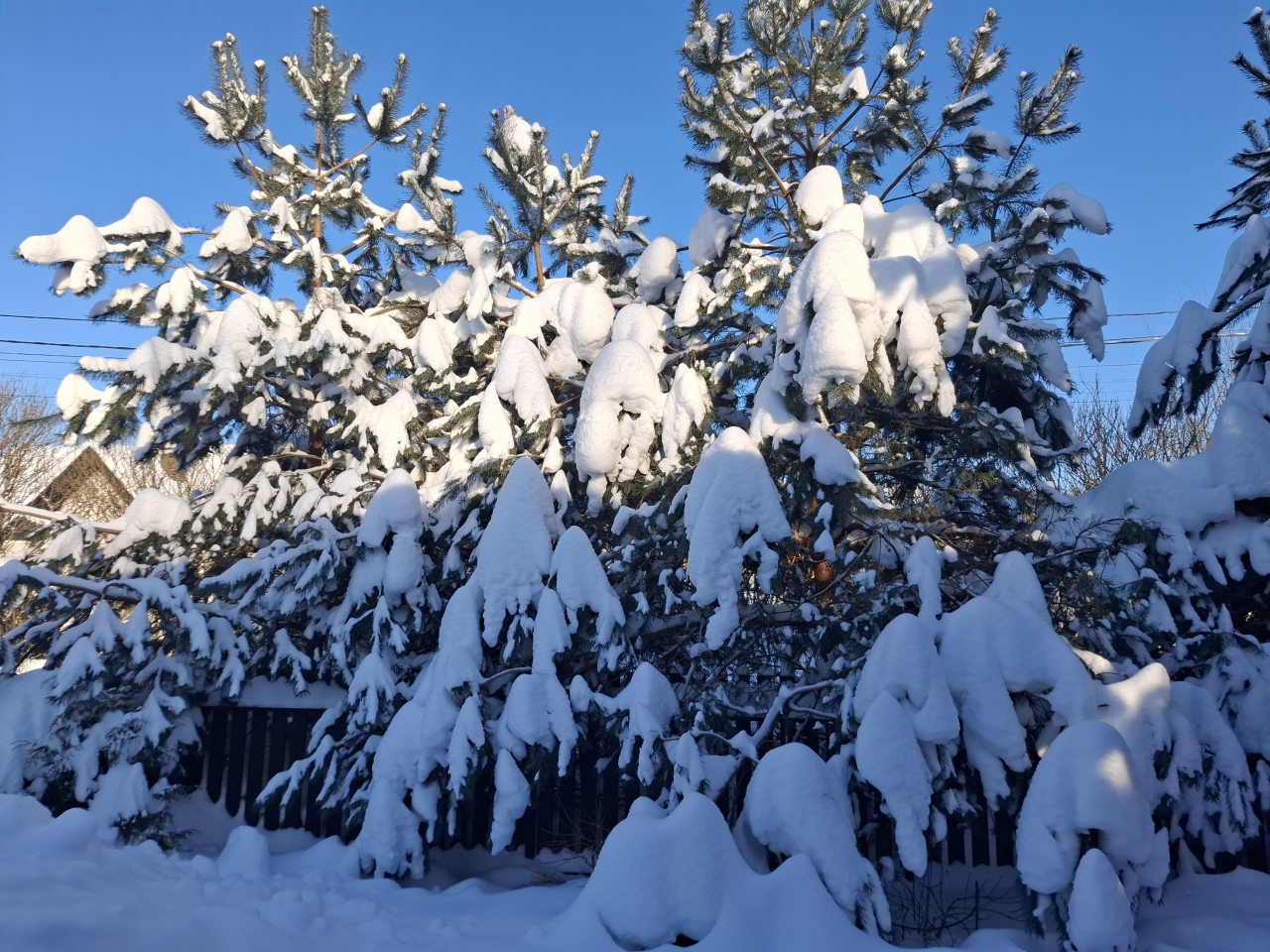 Коттедж (Луговой 40м), Гостевой дом Луговой