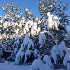 Коттедж (Луговой 40м), Гостевой дом Луговой