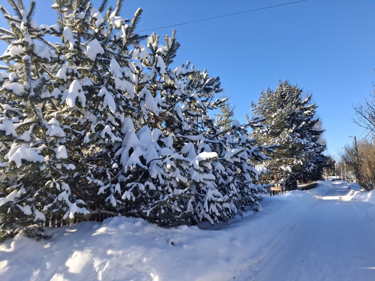 Коттедж (Луговой 40м), Гостевой дом Луговой