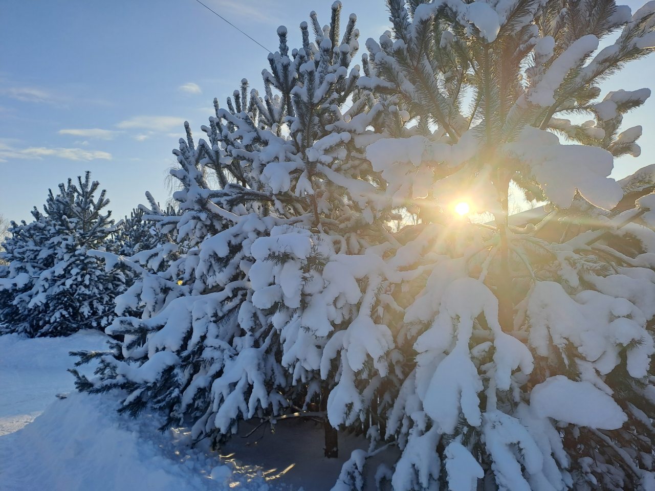 Коттедж (Луговой 35м), Гостевой дом Луговой