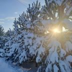 Коттедж (Луговой 35м), Гостевой дом Луговой