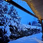 Коттедж (Луговой 40м), Гостевой дом Луговой