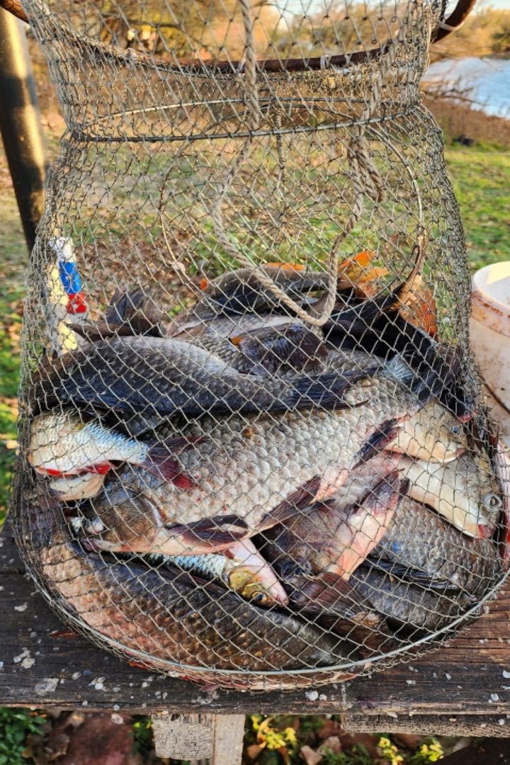 Рыбалка, База отдыха Табола