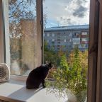 Двухместный (Стандарт), Гостиница Ангара