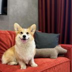 Допускается размещение домашних животных, Отель Terraplace by Mix Hotels