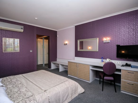 Фотография номера гостиницы Классик