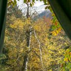 Вид на горы, Барнхаус WoodVillas