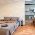 Апартаменты (Уютная трёхкомнатная квартира в Электростали), Апартаменты Стильная однокомнатная квартира